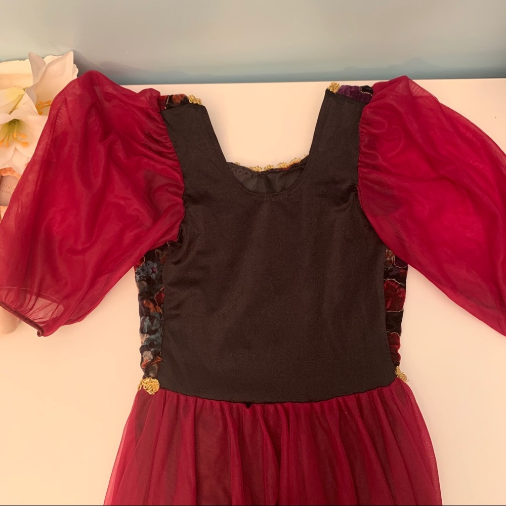 *Floral Velvet and Shear Ballet Costume* - Picture 4 of 5